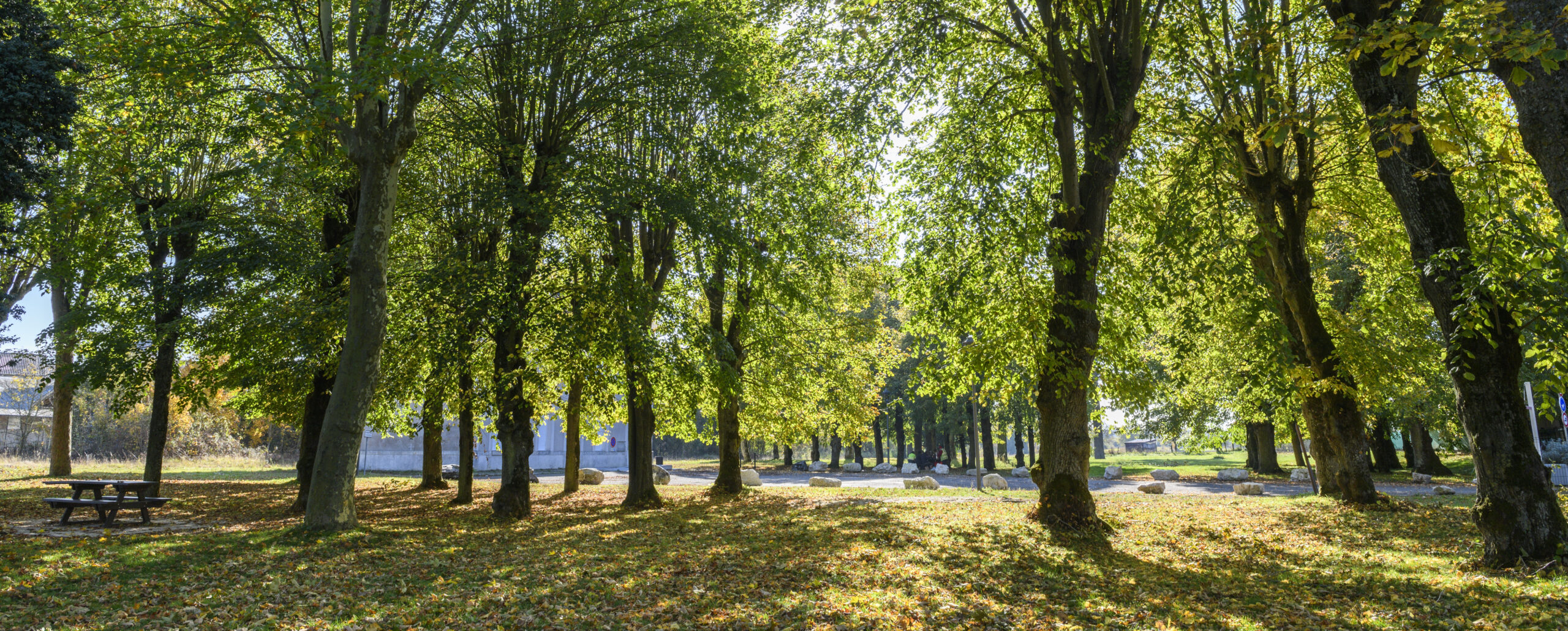 Parc Neuville aux Bois