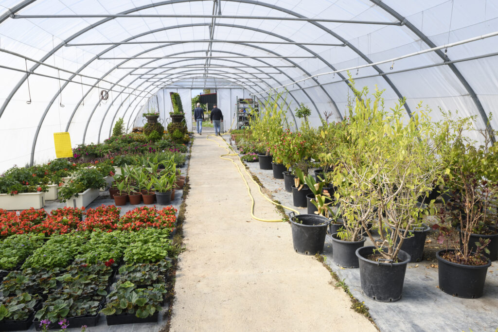 servicesespacesverts