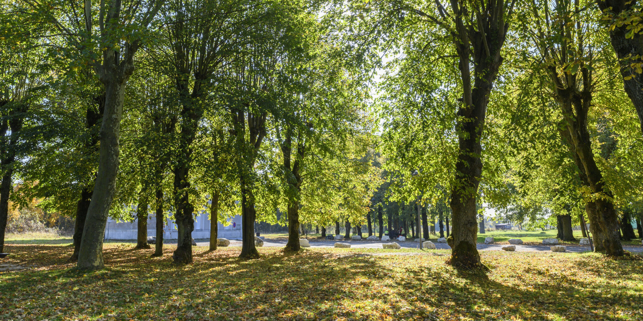 Parc Neuville aux Bois