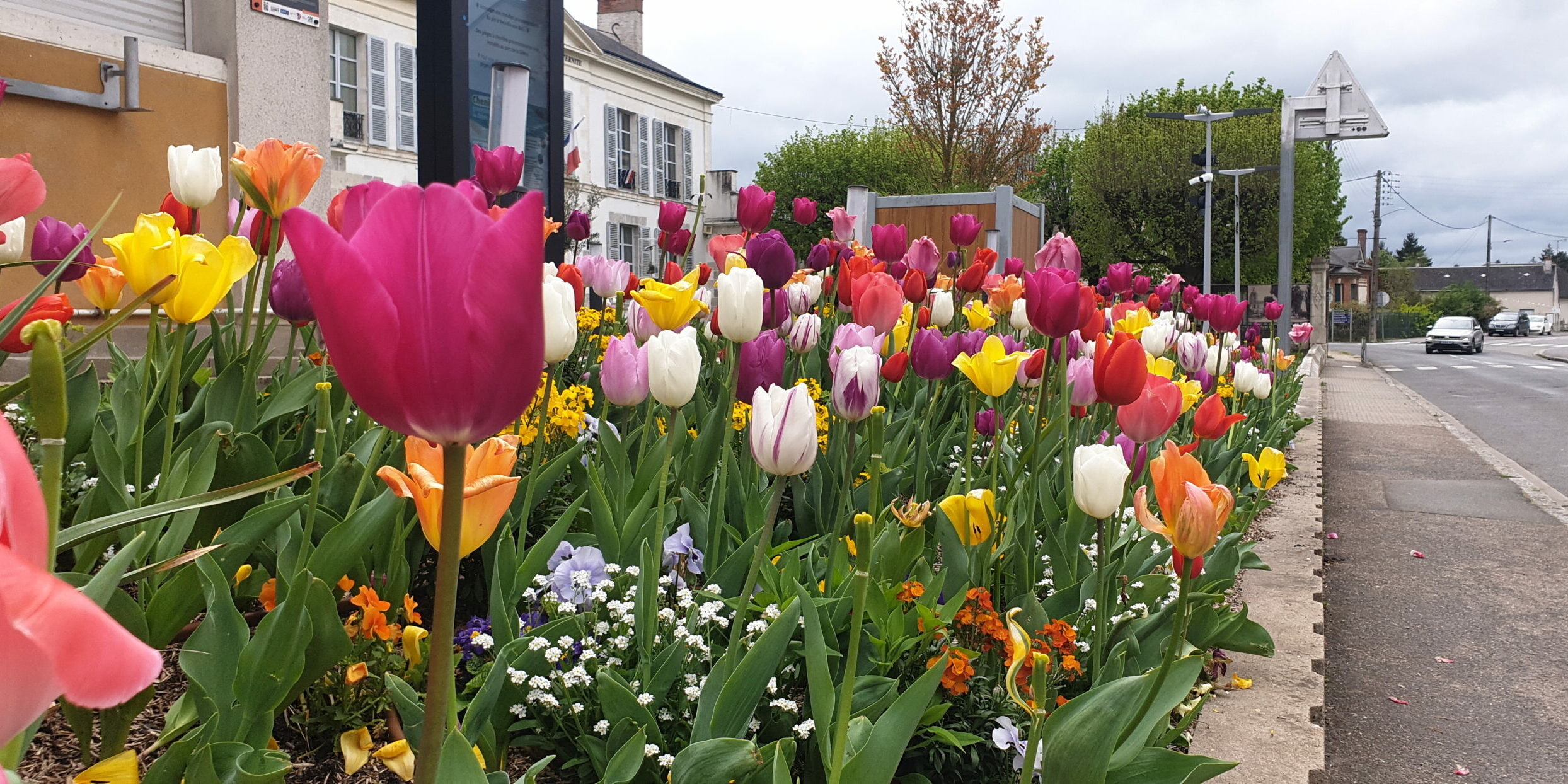 fleurissement 1 2025 04